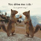 You drive me nuts!